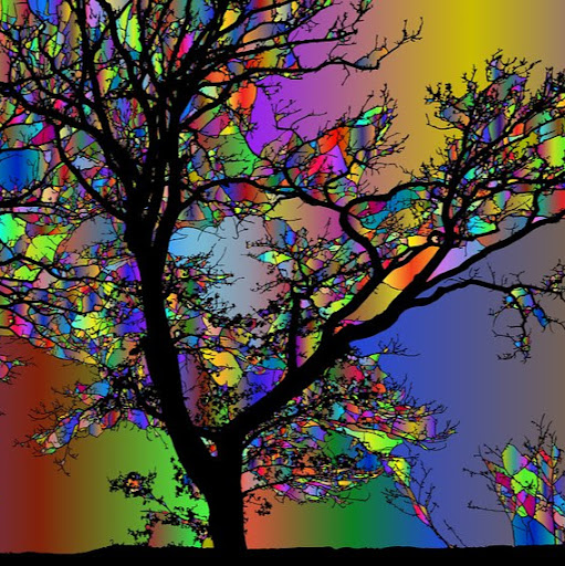 Tree3708's user avatar