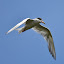 jxc's user avatar