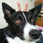 skippy's user avatar