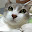 Alex Wolski's user avatar