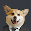Pitiwazou's user avatar