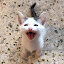 Julfikar's user avatar