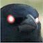 trotzt's user avatar