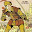 Wazoople's user avatar