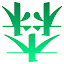 Phroneris's user avatar
