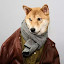 yingdi fu's user avatar