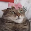 kjhhgt76's user avatar