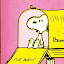 Fin's user avatar