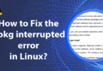 How to Fix the dpkg interrupted error in Linux?