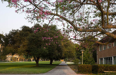 Campus Shot - Golden Hour