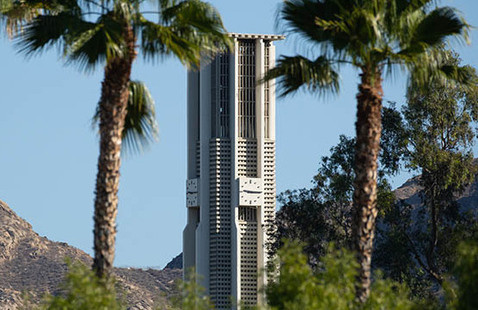 Bell Tower - Palm Trees