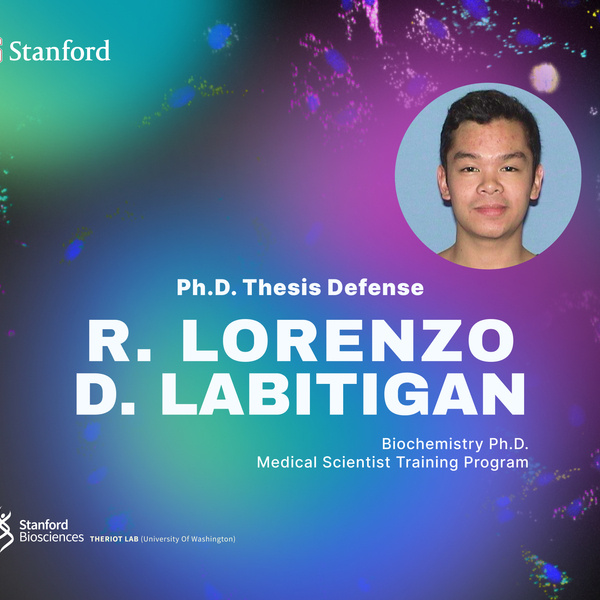 Ph.D. Thesis Defense: R. Lorenzo D. Labitigan