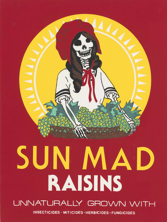 Archive Room: Ester Hernandez |Selections from Special Collections at Stanford Libraries