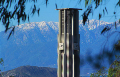 Bell Tower - Winter