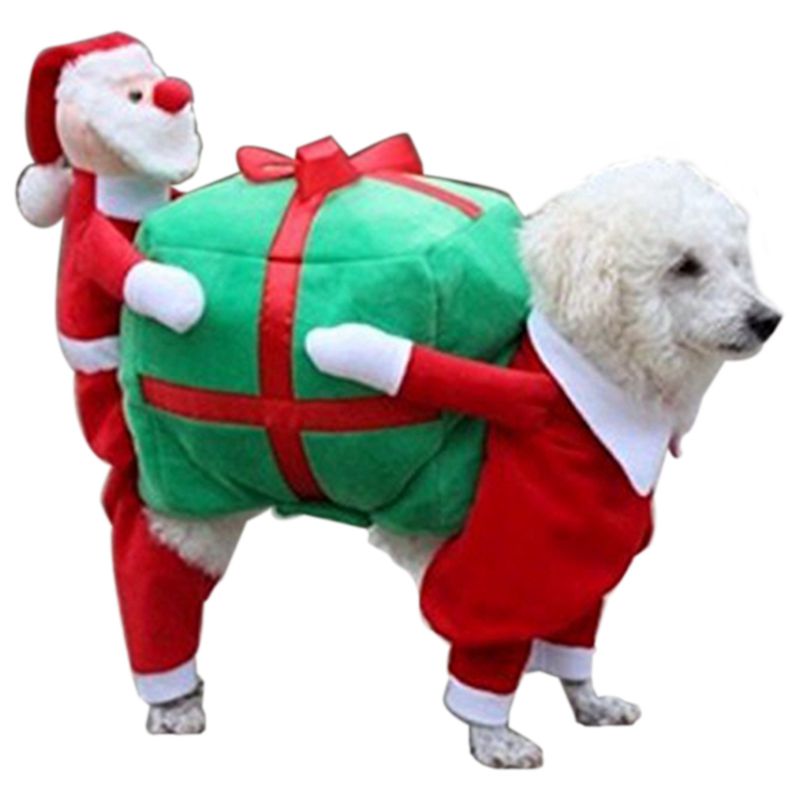 Vestiti Di Natale Per Cani.Foto Natale Cani Divertenti