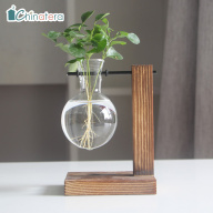 Bình thủy tinh trồng cây + khay giá đỡ bằng gỗ thiết kế kiểu ống nghiệm độc đáo dùng trang trí bàn làm việc - INTL thumbnail