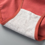 Dachao 3 chiếc quần lót cotton cho nữ quần lót nữ quần lót cho nữ quần lót quần lót cạp thấp đồ lót 7