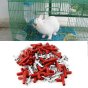 30 Cái Dụng Cụ Uống Nước Cho Thỏ Gia Cầm Trung Chuyển, Bunny Kiểm Soát Loài Gặm Nhấm Chuột thumbnail