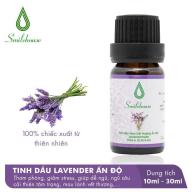 Tinh Dầu Thiên Nhiên Lavender Ấn Độ Smilehouse, giảm căng thẳng, thơm phòng, xua đuổi con trùng độc hại, tốt cho sức khỏe thumbnail