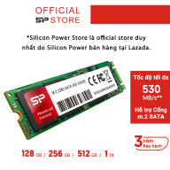 Ổ cứng SSD M.2 2280 SATA 3 Silicon Power 128GB 256GB 512GB 1TB Bảo hành 3 năm thumbnail
