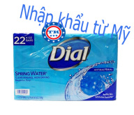 (HCM)Lốc Xà Bông Cục Dial Spring Water Antibacterial Bar Soap 22 Cục X 113g - Mỹ thumbnail