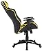 Amazon Brand - Solimo Hoover High Back Gaming Chair (Black & Yellow)