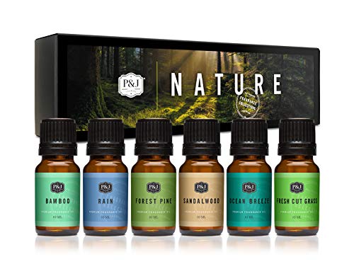 P&J Trading Nature Set of 6 Premium Grade Fragrance Oils - Forest Pine, Ocean Breeze, Rain, Fresh Cut Grass, Sandalwood, Bamboo - 10ml