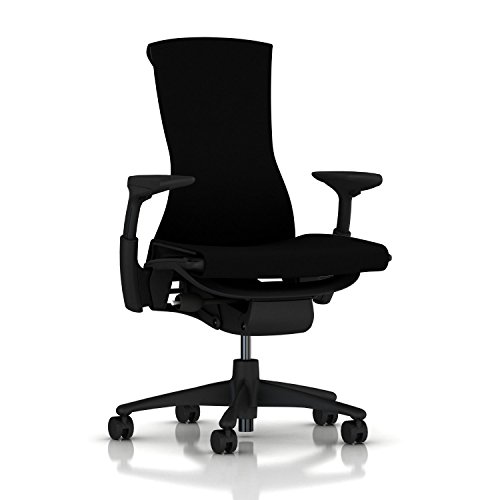 Herman Miller Embody Ergonomic Office Chair | Fully Adjustable Arms and Carpet...