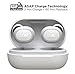 boAt Airdopes 171 Bluetooth Truly Wireless Earbuds with Mic(Cool Grey)