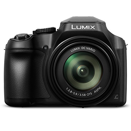 Panasonic LUMIX FZ80 4K Digital Camera, 18.1 Megapixel Video Camera, 60X Zoom DC...