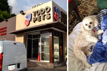 ¡ATROZ! Muerte de la perrita «Cotufa» en peluquería canina conmociona las redes sociales (+Foto)