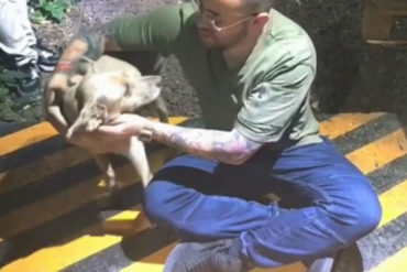 ¡CORAZÓN DE ORO! El noble gesto de Nacho con un perrito que sobrevive con tres patas (+Video conmovedor)