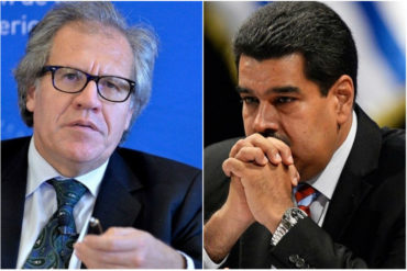 ¡AGARREN! Almagro señaló a altos rojitos por presunto narcotráfico: «Son muy claras las conexiones criminales de la dictadura venezolana» (+Video)