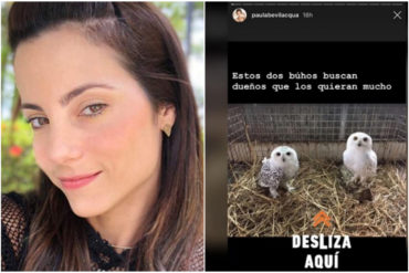 ¿MÁS O MENOS? A Paula Bevilacqua la estallan por supuestamente vender dos búhos en Instagram (+Imágenes)
