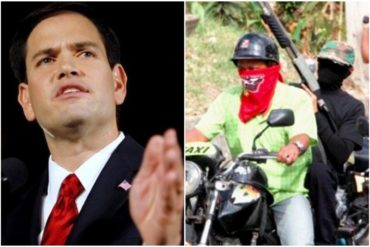 ¡LE CONTAMOS! Marco Rubio advierte que colectivos son la principal “amenaza de la seguridad pública en Venezuela”