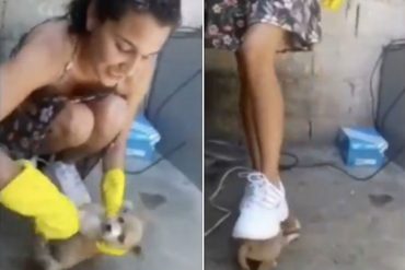 ¡DANTESCO! Revelan video de la mujer que practicaba “animal crush fetish” mientras tortura a un perrito “por placer” (+Video perturbador)