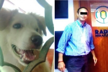 ¡ATROZ! Detenido un hombre que golpeó hasta la muerte a un perrito frente a sus hijas en Chacao (+Video)