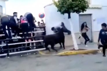 ¡TERRIBLE! Falleció un hombre en España tras ser embestido y corneado por un toro (+Video)