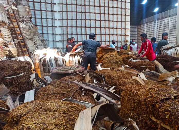 AKTIVITAS. Sejumlah pekerja sedang beraktivitas di salah satu gudang tembakau di Temanggung. (foto:setyo wuwuh/temanggung ekspres)