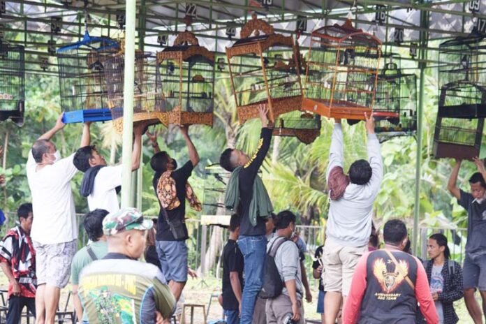 Foto: ADU KICAU. Berbagai jenis burung dari sejumlah daerah adu kicau dalam kompetisi yang memperebutkan Piala Pesona Arahiwang di kawasan Perumahan Pesona Arahiwang Purworejo
