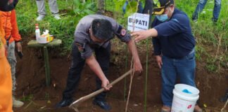 Kurangi Emisi Gas, 5.000 Pohon Ditanam di Lereng Andong Magelang
