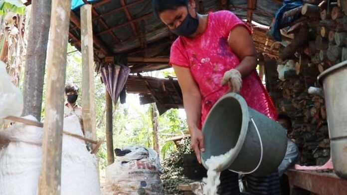 KOLANG KALING. Sejumlah warga Dewa Kluwung Kecamatan Gemawang sedang mengolah kolang kaling.(Foto: Setyo wuwuh/temanggung ekspres)
