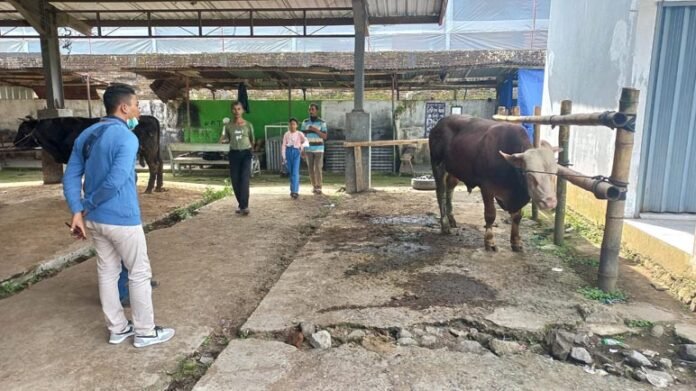SEPI. Mendekati hari lebaran Idul Adha kondisi pasar hewan di Wonolelo justru sepi.
