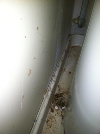 Hot Water Heater Closet Area Picture Of Club Wyndham Newport