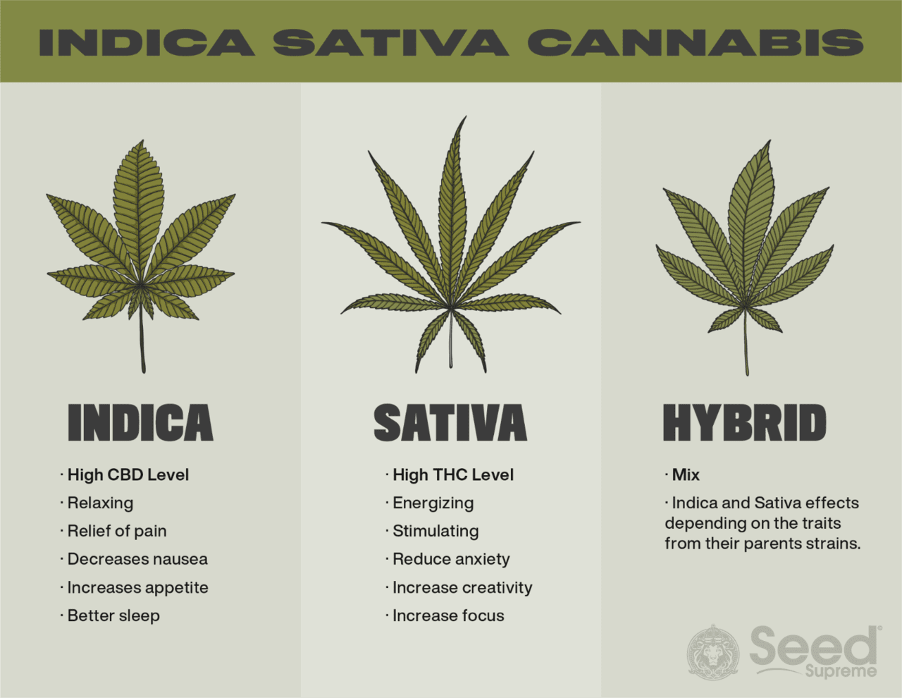 indica and sativa comparasion infographics