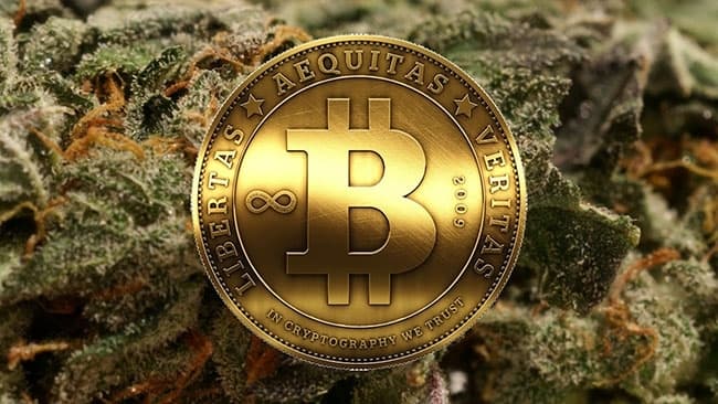 bitcoin cannabis