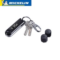 Cảm biến đo áp suất lốp xe máy Michelin IPC-1+2ISP-1 - 0810 thumbnail
