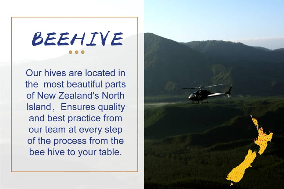 NZ Bees Beehives