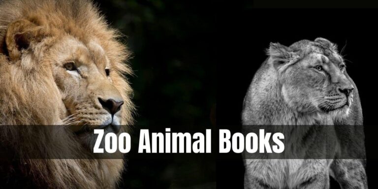 18 Best Zoo Animal Books For Preschool Kids