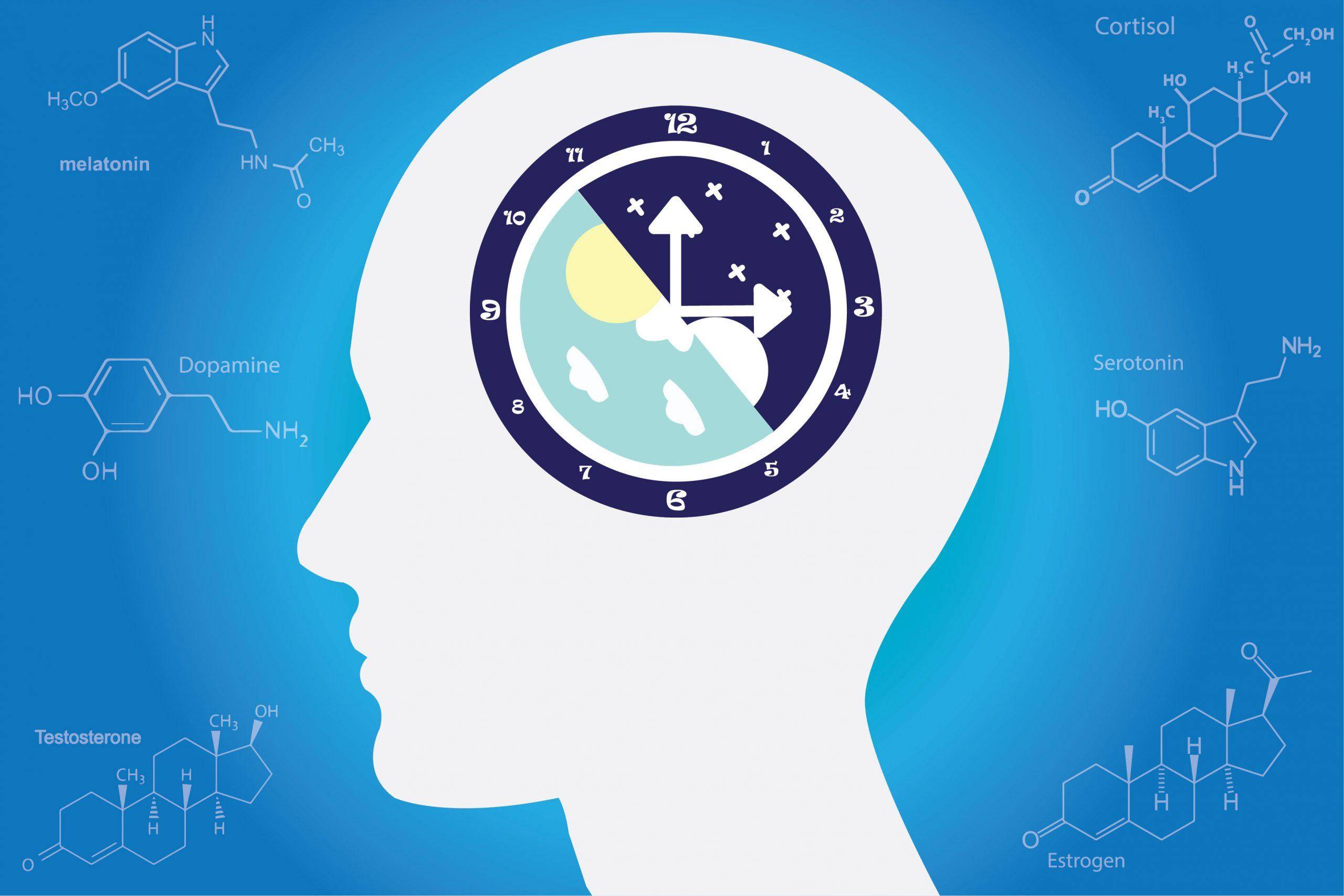 CIRCADIAN RHYTHM: What is It, Is Yours Working and How to Reset It If It’s Not